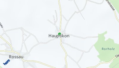 Standort Hauptikon (ZH)
