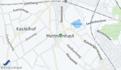 Standort Mettmenhasli (ZH)