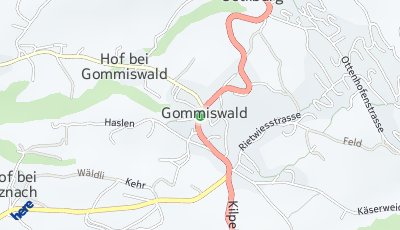 Standort Gommiswald (SG)